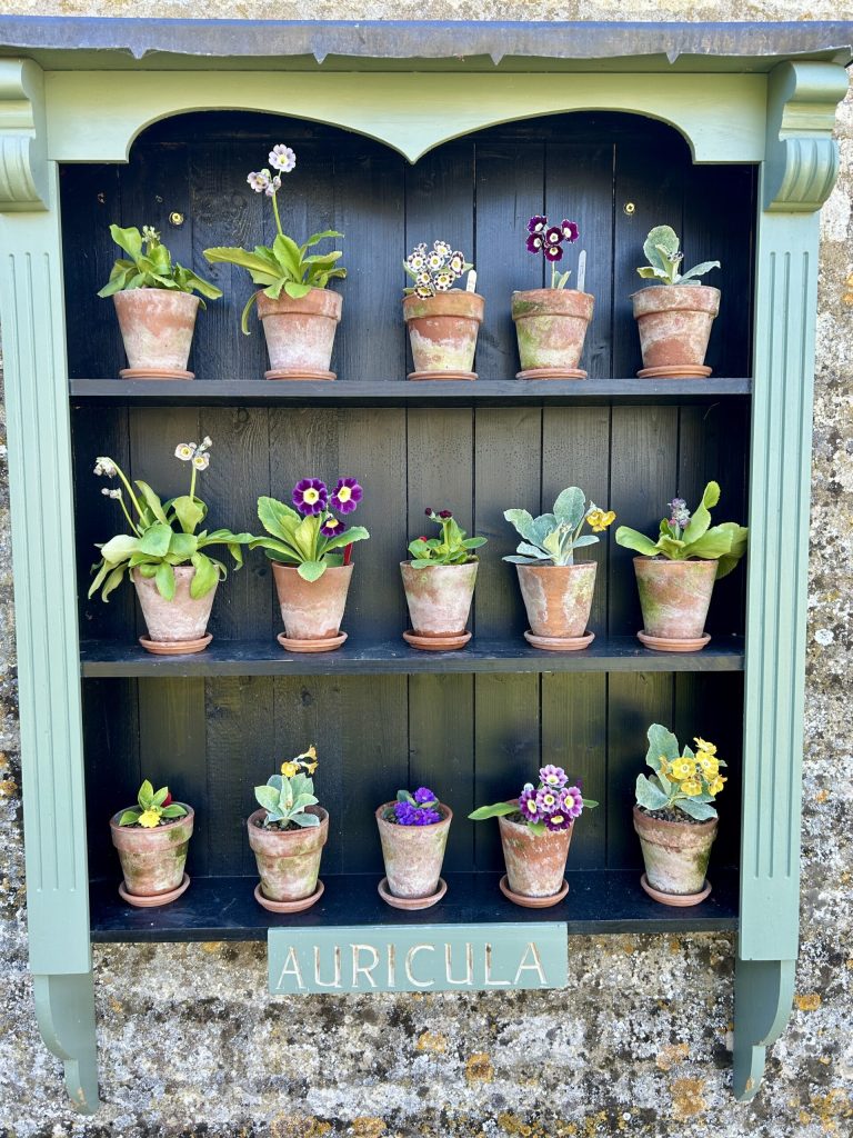Auricula Theatre at Easton Walled Gardens